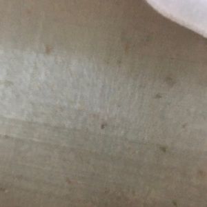 Meet your Posher, Alexia